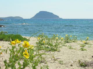 Ferienwohnungen in Golfo Aranci (Sos Aranzos) - Hauptansicht