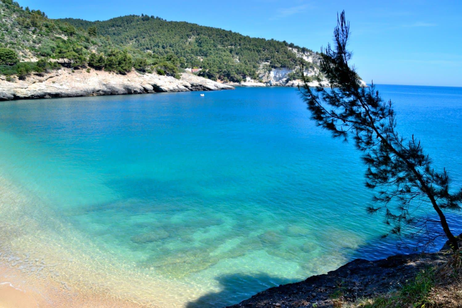 Vieste Pugnochiuso Resort - Hauptansicht