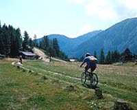 Ferienwohnungen am Tonale-Pass - Foto 2