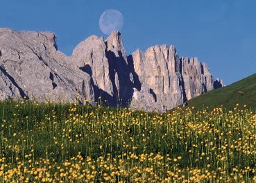 Val di Fiemme, Residence Mich - Foto 3