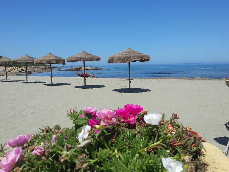 Residenz Porto Corallo - Foto 7